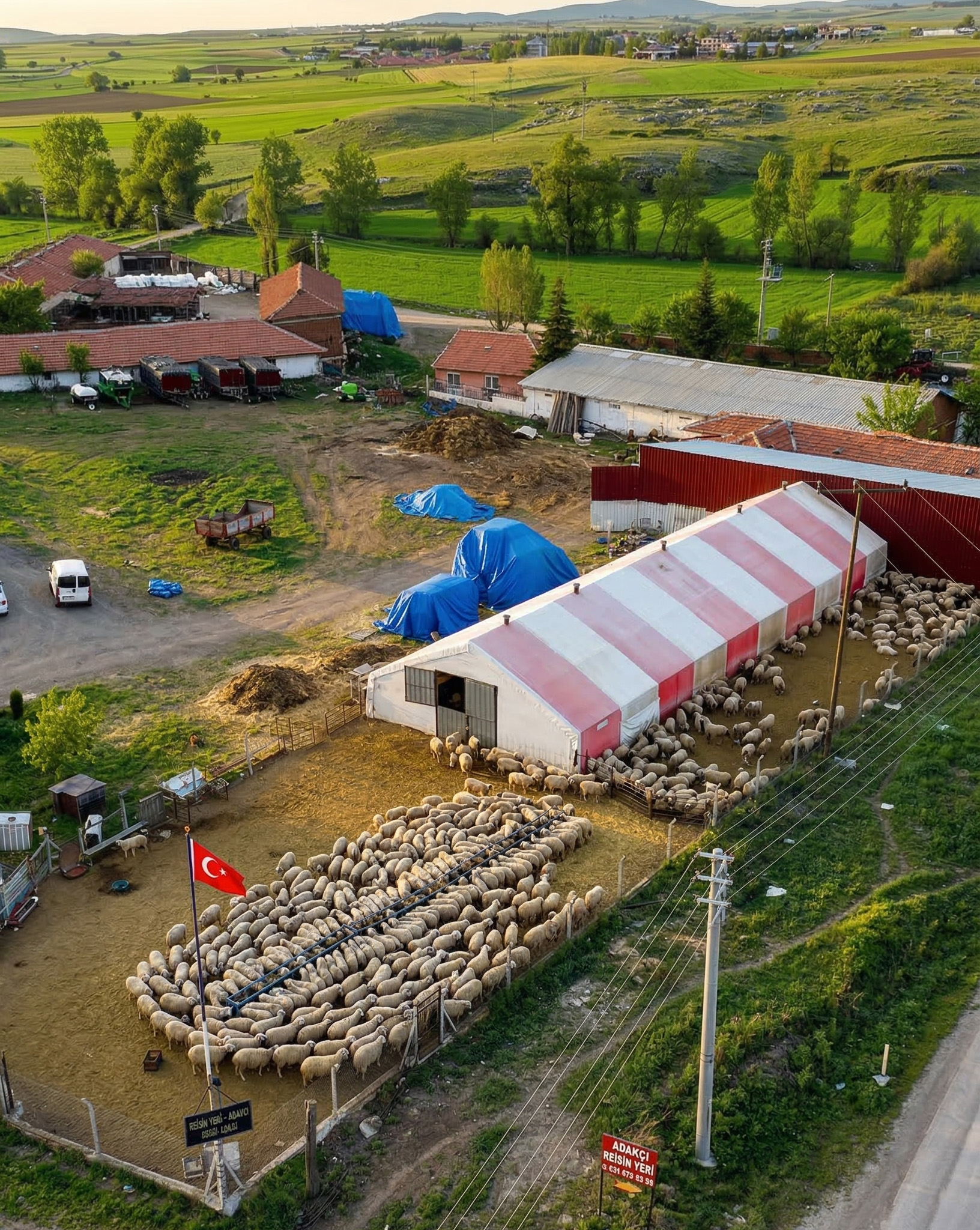 Eskişehir adak kurban satış ve kesim merkezi Reis Hayvancılık